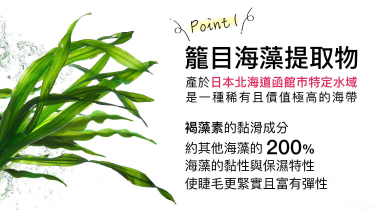 Point1 籠目海藻提取物