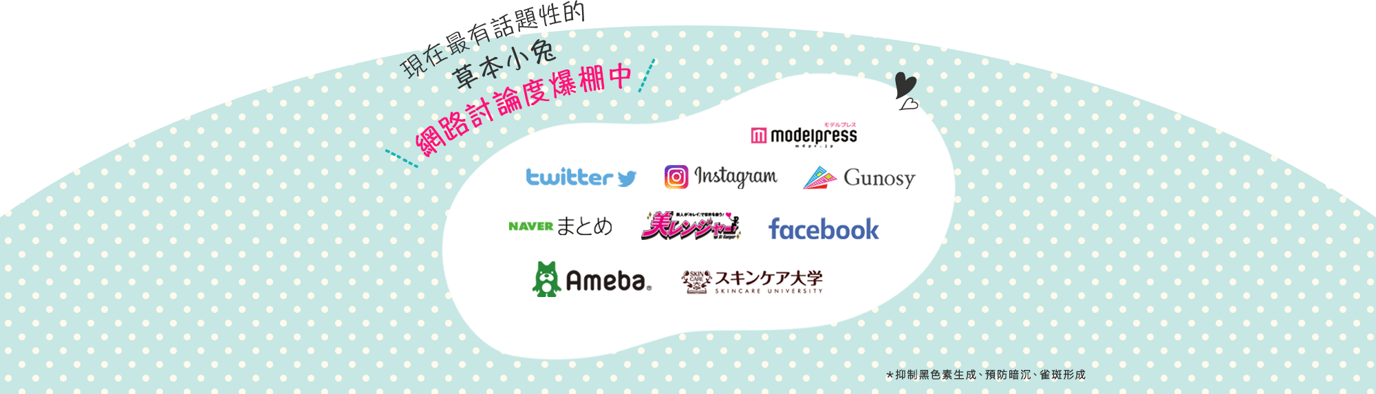 現在最有話題性的 草本小兔 網路討論度爆棚中