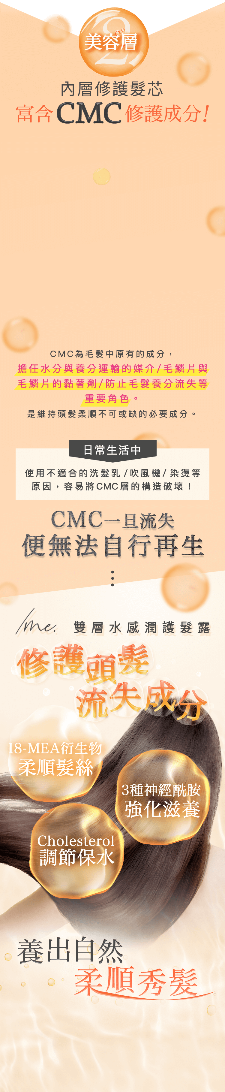 美容層 內層修護髮芯 富含CMC修護成分！