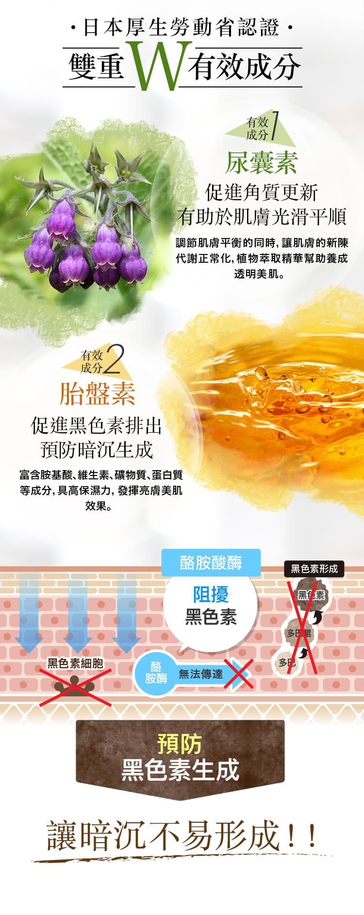 日本厚生勞動省認證 雙重W有效成分 有效成分1 尿囊素 有效成分2 胎盤素