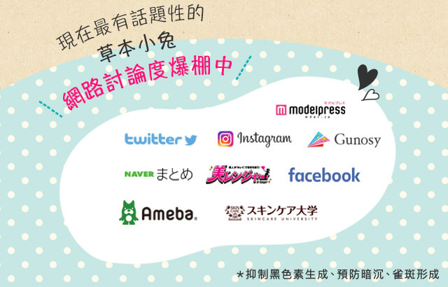 現在最有話題性的 草本小兔 網路討論度爆棚中